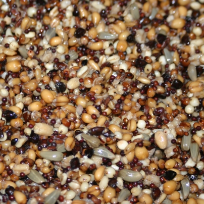 Prepared Supa-Combi Mix + Aniseed