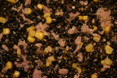 Hemp/Tuna/Sweetcorn/Fish Extract