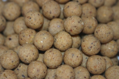 Cell +Cell & Maple 8 Activators