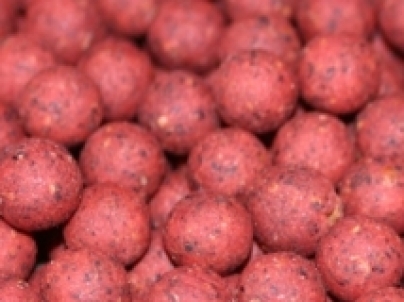 Cell Red + Sweet Plum